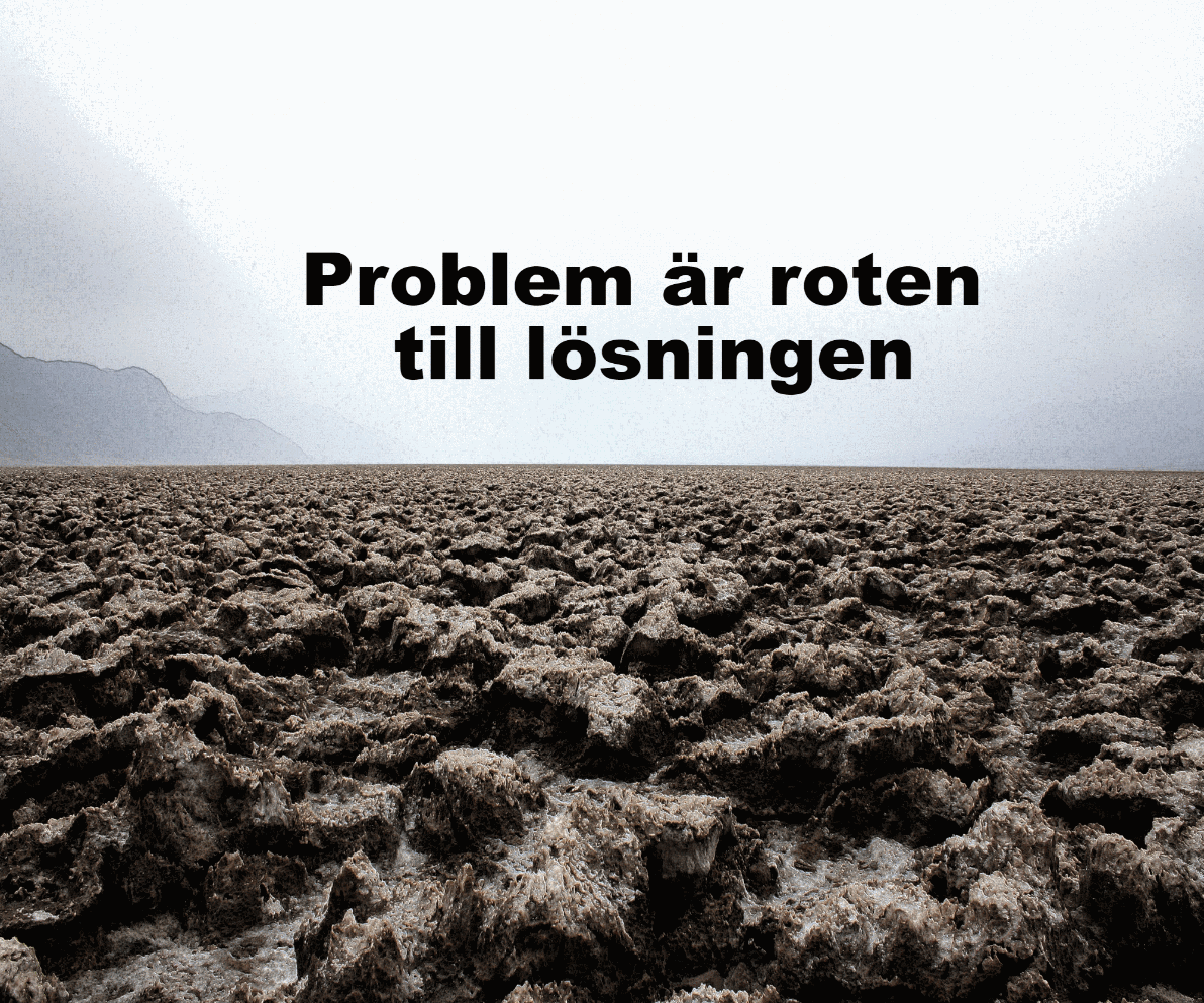 PROBLEMET ÄR BÖRJAN PÅ LÖSNINGEN